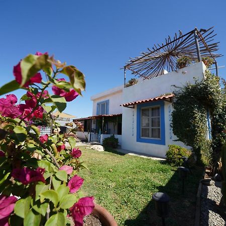 Santerra, Valle De Guadalupe Exterior foto