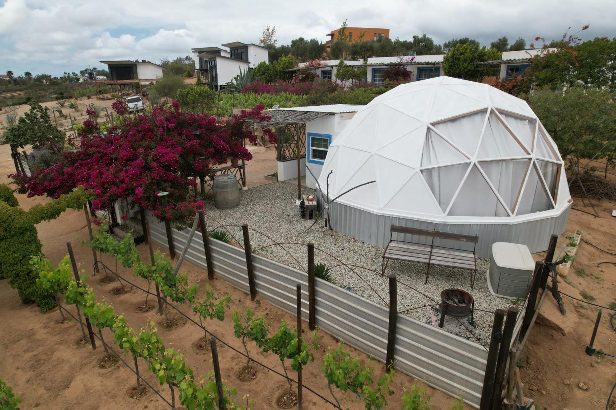 Santerra, Valle De Guadalupe Exterior foto